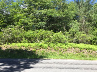 Land-Home-Packages-in-the-Catskills