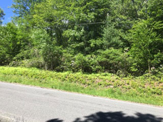 Land-Home-Packages-in-the-Catskills