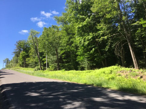 Land-Home-Packages-in-the-Catskills